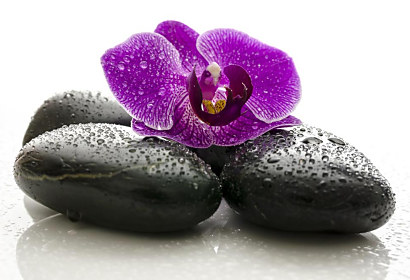Fototapeta Wellness orchidej 1542